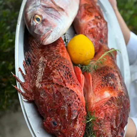 Stermasi * Saplunara