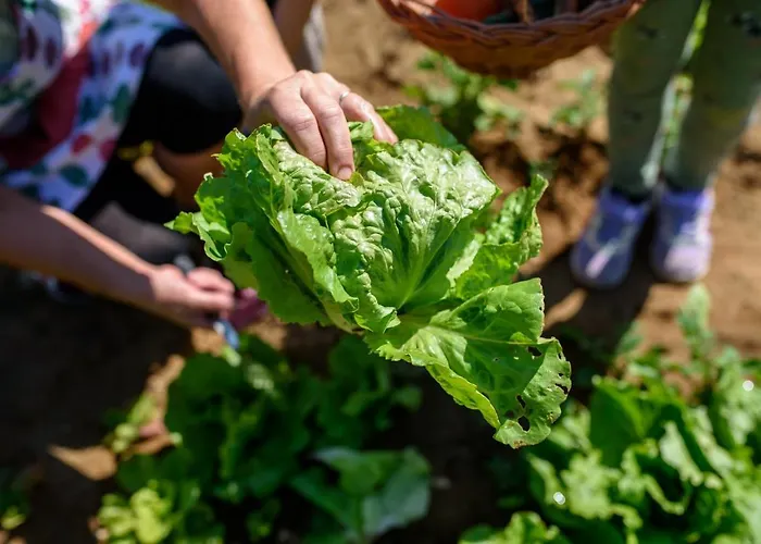 Διαμέρισμα Stermasi *
