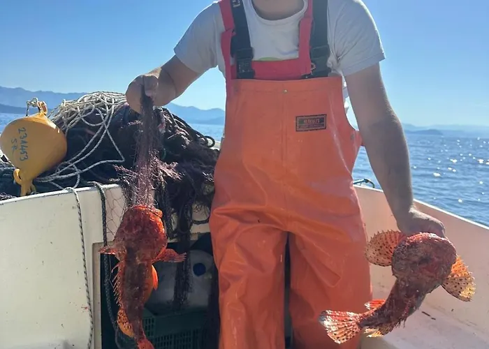 Διαμέρισμα Stermasi *