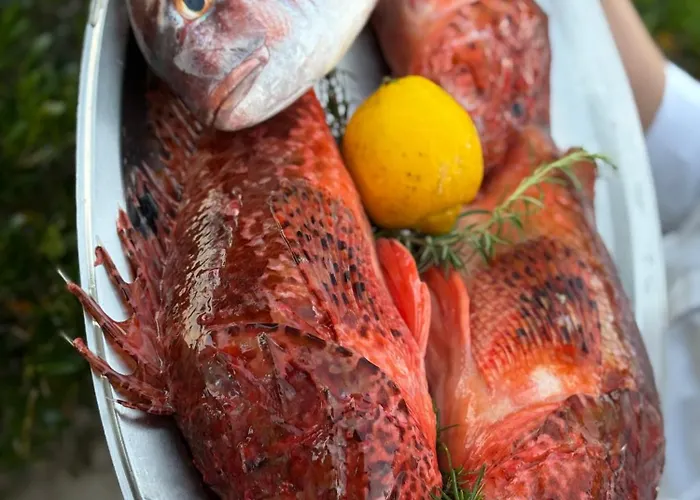 Stermasi * Saplunara